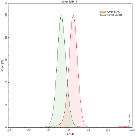 Anti-B-Cell Linker Protein (BLNK) Polyclonal Antibody