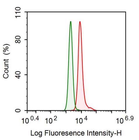 Anti-Complement Component 1, S Subcomponent (C1s) Monoclonal Antibody