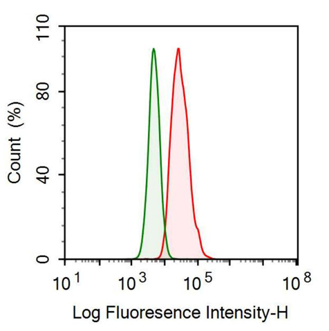 Anti-Cytokeratin 10 (CK10) Monoclonal Antibody