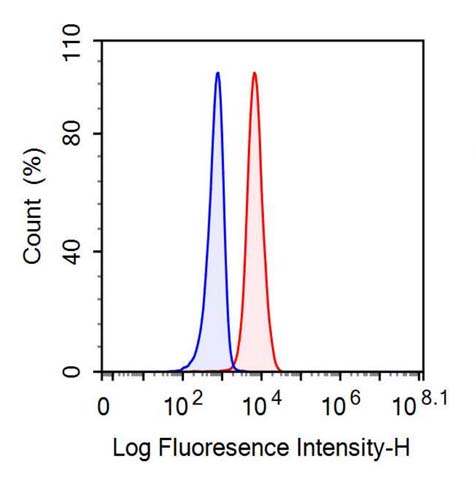 Anti-Fatty Acid Binding Protein 4 (FABP4) Monoclonal Antibody