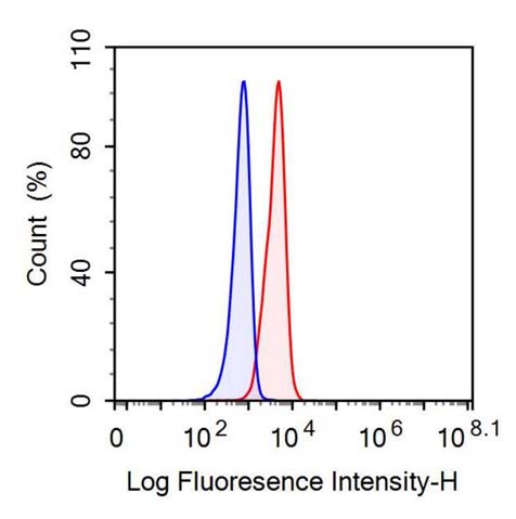 Anti-Fatty Acid Binding Protein 4 (FABP4) Monoclonal Antibody