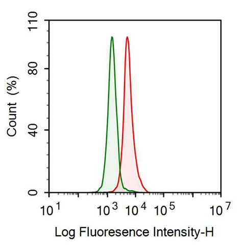 Anti-Ribonuclease A3 (RNASE3) Monoclonal Antibody