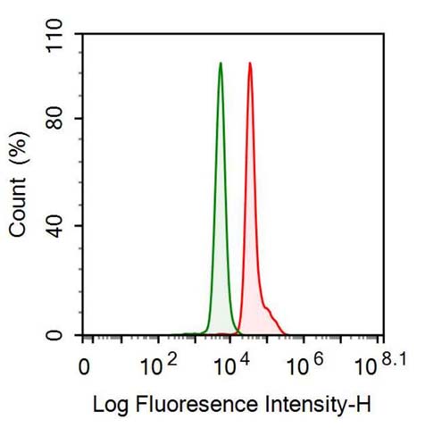 Anti-S100 Calcium Binding Protein A8 (S100A8) Monoclonal Antibody