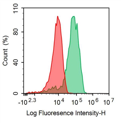 FITC-Linked Anti-Cluster Of Differentiation 5 (CD5) Polyclonal Antibody