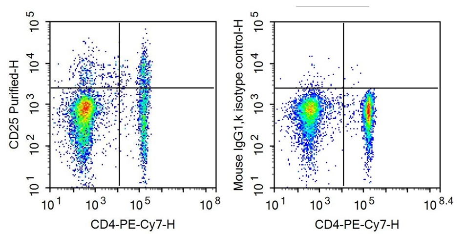 Anti-Interleukin 2 Receptor Alpha (IL2Ra) Monoclonal Antibody