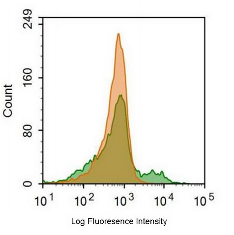 PE-Linked Anti-Interleukin 2 Receptor Alpha (IL2Ra) Monoclonal Antibody