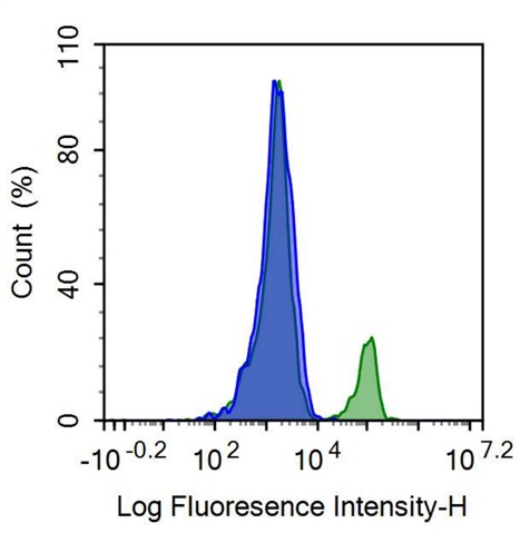 FITC-Linked Anti-Cluster Of Differentiation 19 (CD19) Monoclonal Antibody