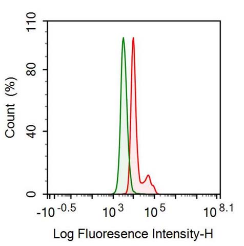 Anti-Angiotensin I Converting Enzyme 2 (ACE2) Monoclonal Antibody