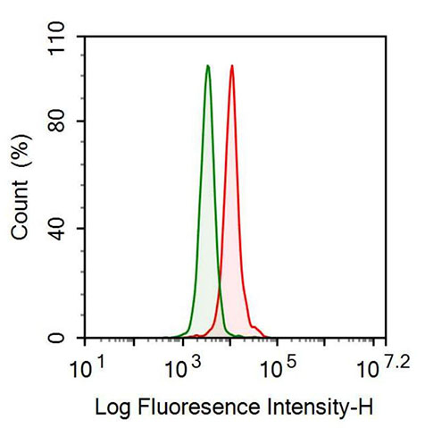 Anti-Leucine Rich Alpha-2-Glycoprotein 1 (LRG1) Monoclonal Antibody