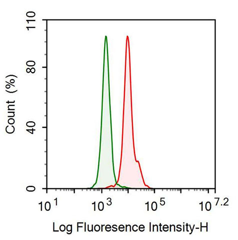 Anti-Leucine Rich Alpha-2-Glycoprotein 1 (LRG1) Monoclonal Antibody