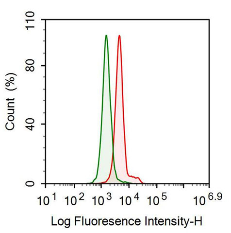 Anti-Leucine Rich Alpha-2-Glycoprotein 1 (LRG1) Monoclonal Antibody