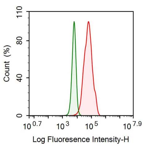 Anti-Apolipoprotein B (APOB) Monoclonal Antibody