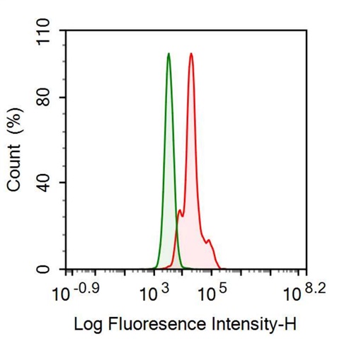 Anti-Transferrin (TF) Monoclonal Antibody