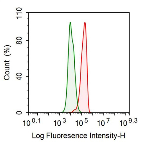 Anti-Transferrin (TF) Monoclonal Antibody