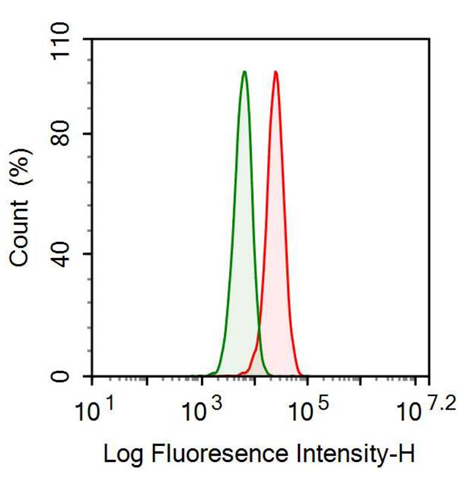 Anti-Transferrin (TF) Polyclonal Antibody