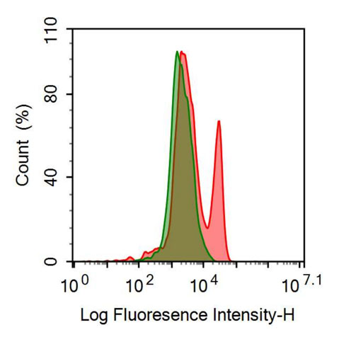 PE-Linked Anti-Major Histocompatibility Complex Class I B (MHCB) Polyclonal Antibody