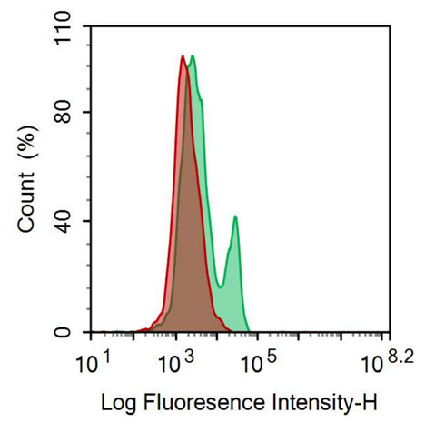 APC-Linked Anti-Major Histocompatibility Complex Class I B (MHCB) Polyclonal Antibody