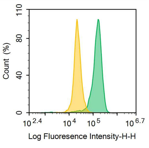 FITC-Linked Anti-HLA Class II Histocompatibility Antigen, DR Alpha Chain (HLA-DRA) Polyclonal Antibody