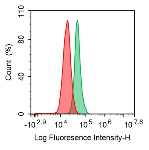 FITC-Linked Anti-HLA Class II Histocompatibility Antigen, DRB1 Beta Chain (HLA-DRB1) Polyclonal Antibody