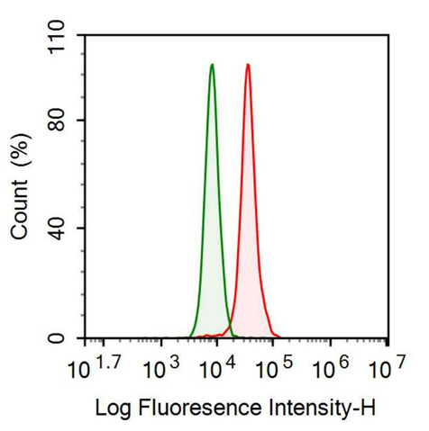 Anti-Left/Right Determination Factor 1 (LEFTY1) Polyclonal Antibody