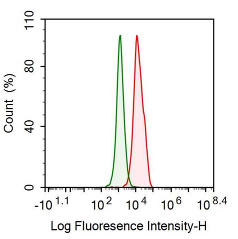 Anti-Histone Deacetylase 1 (HDAC1) Monoclonal Antibody