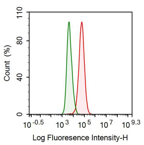 Anti-Antithrombin (AT) Monoclonal Antibody