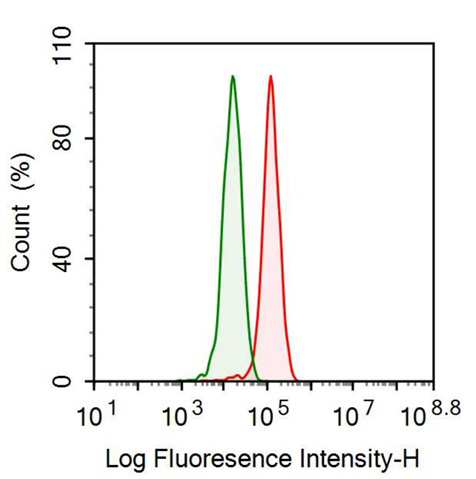 Anti-Histidine Rich Glycoprotein (HRG) Monoclonal Antibody