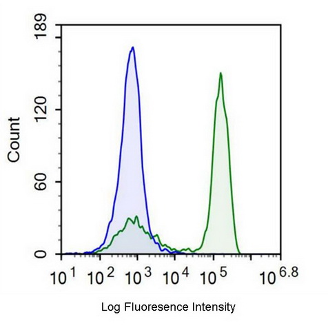 Anti-T-Cell Surface Glycoprotein CD3 Epsilon (CD3e) Monoclonal Antibody