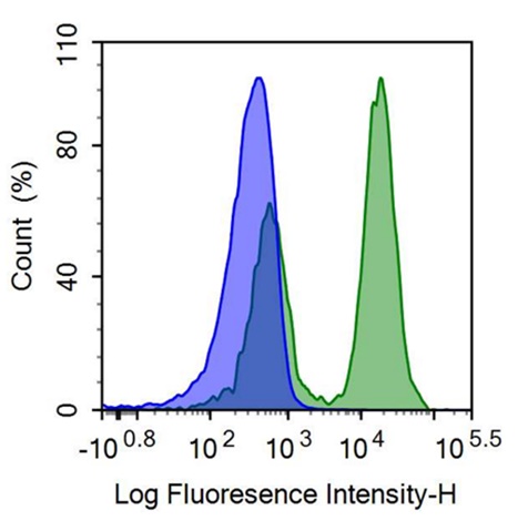 FITC-Linked Anti-T-Cell Surface Glycoprotein CD3 Epsilon (CD3e) Polyclonal Antibody