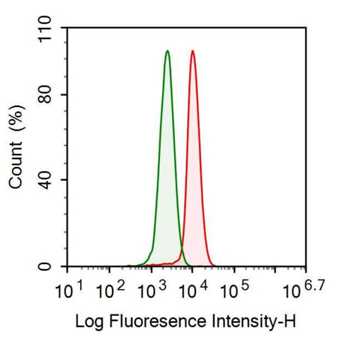 Anti-Ribonuclease A2 (RNASE2) Monoclonal Antibody