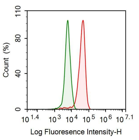 Anti-Ribonuclease A2 (RNASE2) Monoclonal Antibody