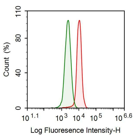 Anti-Ribonuclease A2 (RNASE2) Monoclonal Antibody