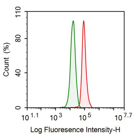 Anti-Alpha-1-B-Glycoprotein (a1BG) Monoclonal Antibody