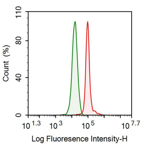 Anti-Alpha-1-B-Glycoprotein (a1BG) Monoclonal Antibody