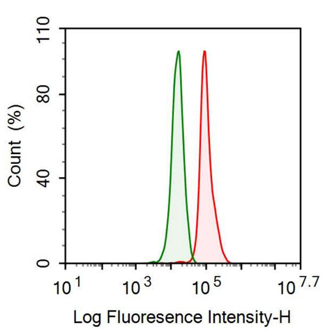 Anti-Alpha-1-B-Glycoprotein (a1BG) Monoclonal Antibody