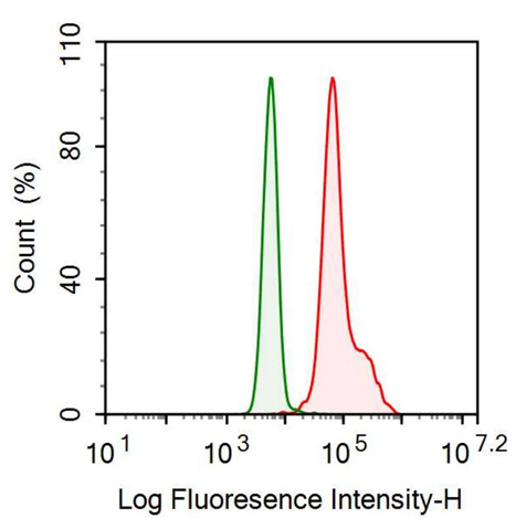 Anti-Annexin A3 (ANXA3) Monoclonal Antibody