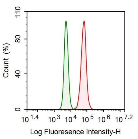 Anti-Secreted Frizzled Related Protein 4 (SFRP4) Monoclonal Antibody