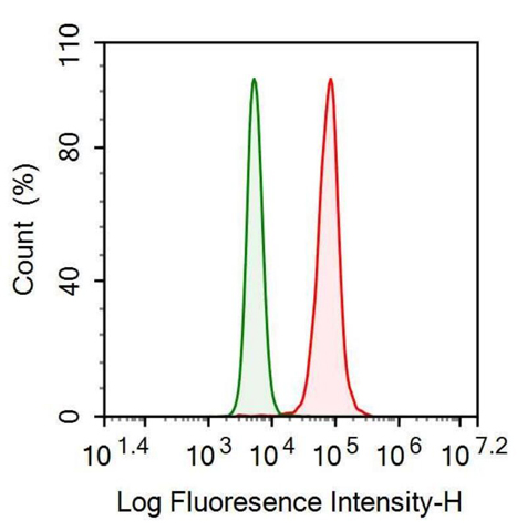 Anti-Secreted Frizzled Related Protein 4 (SFRP4) Monoclonal Antibody