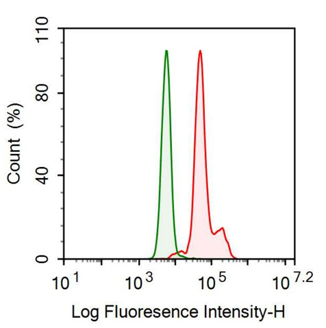 Anti-Isocitrate Dehydrogenase 1, Soluble (IDH1) Monoclonal Antibody