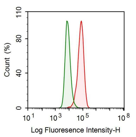 Anti-Calprotectin (CALPRO) Monoclonal Antibody