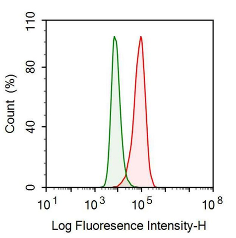 Anti-Calprotectin (CALPRO) Monoclonal Antibody