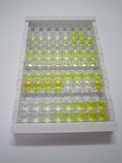 High Sensitive ELISA Kit for R-Spondin 1 (RSPO1)