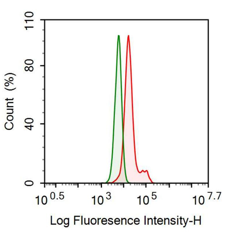 Monoclonal Antibody to Insulin Like Growth Factor Binding Protein 1 (IGFBP1)