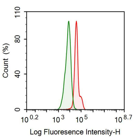 Monoclonal Antibody to Alpha-Fetoprotein (AFP)