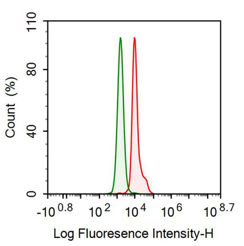 Monoclonal Antibody to Pepsinogen A (PGA)