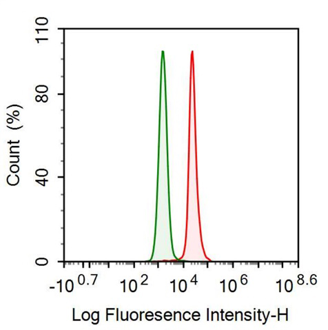 Monoclonal Antibody to Pepsinogen A (PGA)