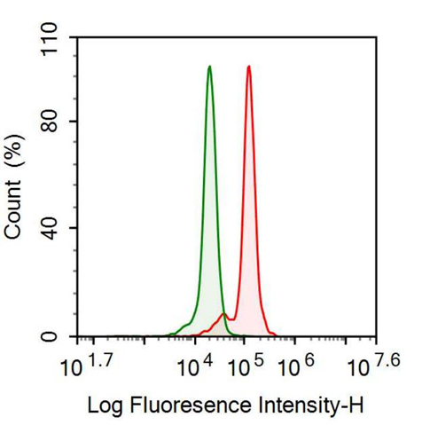 Monoclonal Antibody to Beta-2-Microglobulin (b2M)