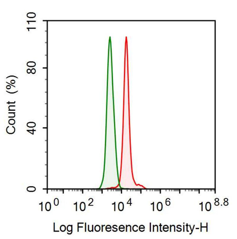 Monoclonal Antibody to Nestin (NES)