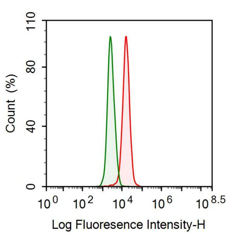 Monoclonal Antibody to Nestin (NES)