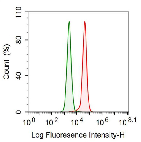 Monoclonal Antibody to Procollagen III N-Terminal Propeptide (PIIINP)